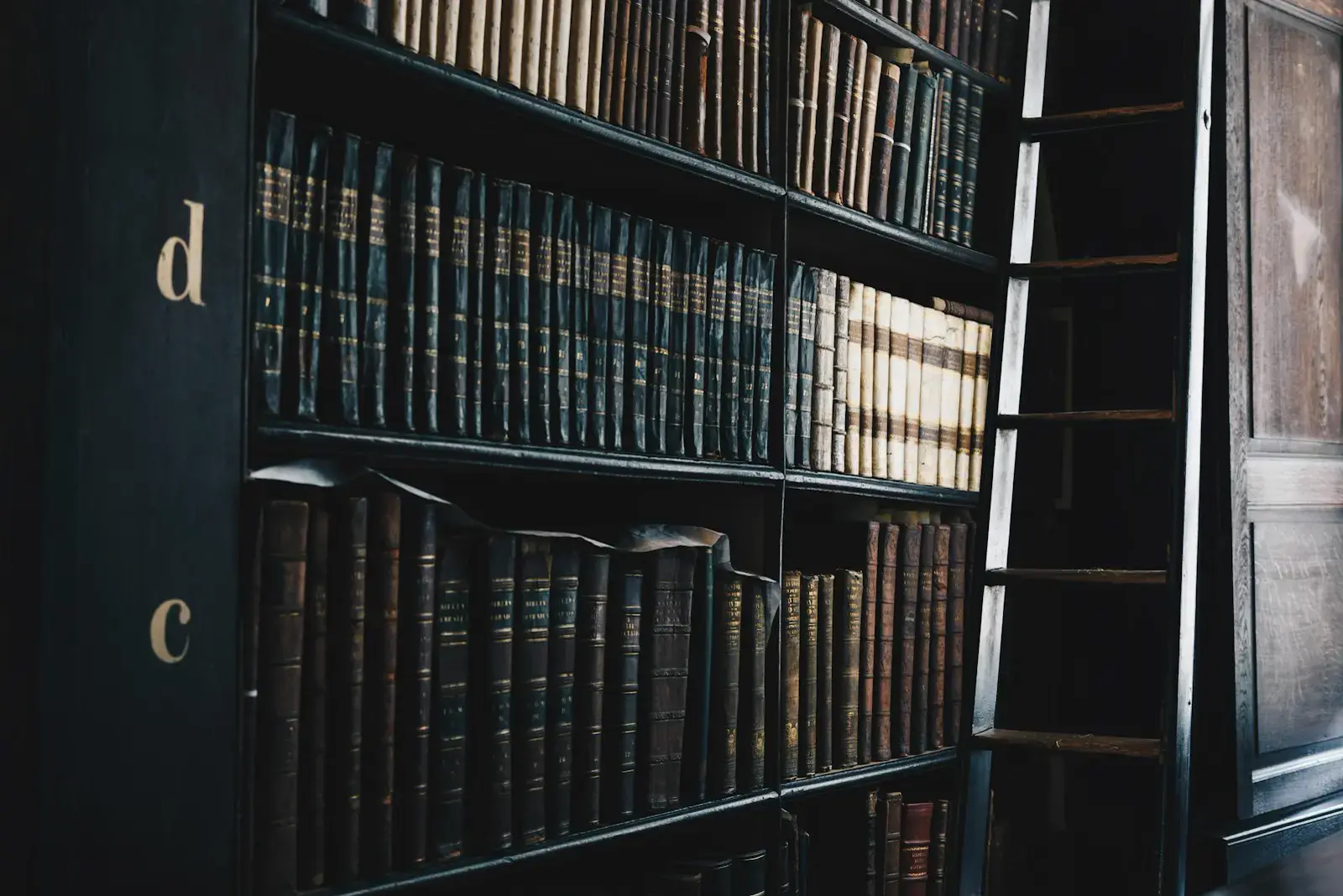 Shelves of old bound volumes in a dark library, with a rolling ladder